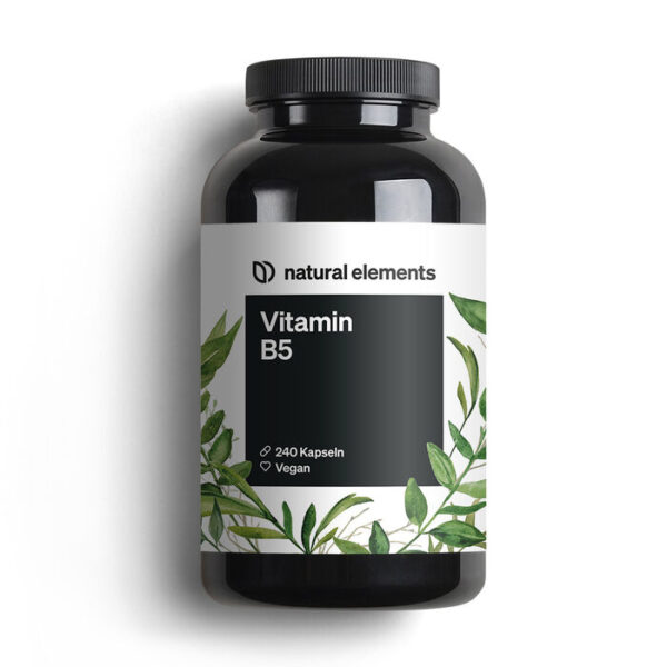 Vitamina B5 -500mg - 240 Cápsulas